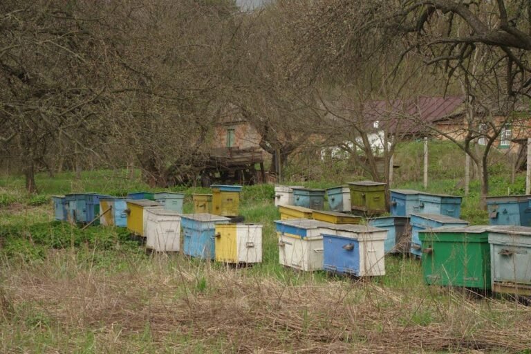 Українське село або ж зона відчуження