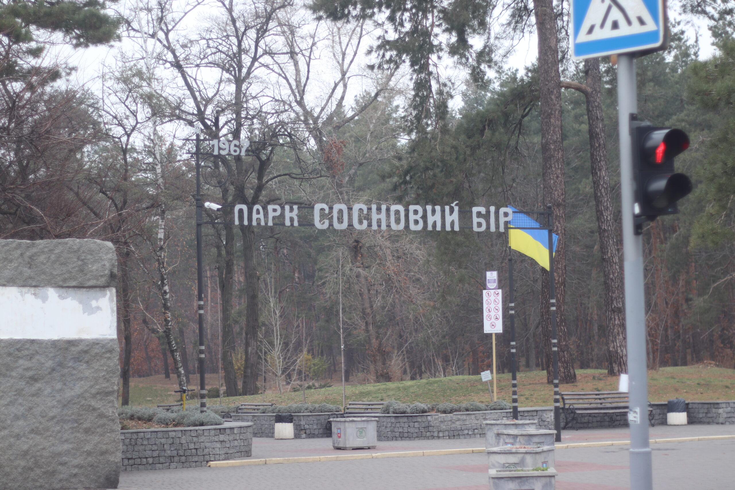 Фотопроєкт “Стан екології в парку “Сосновий бір” очима медійника”