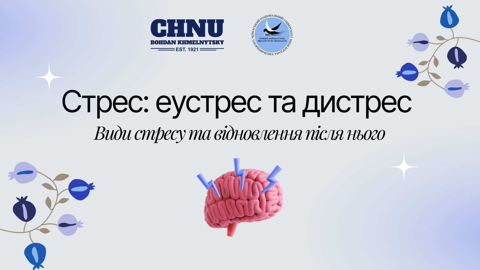 Різновиди стресу: еустрес та дистрес